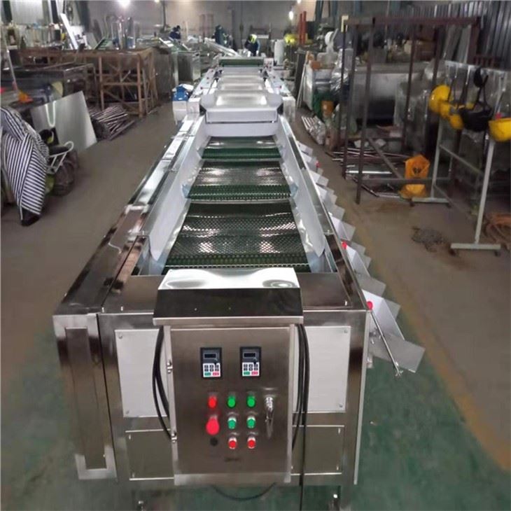 Automatic Blueberry Sorting Machine