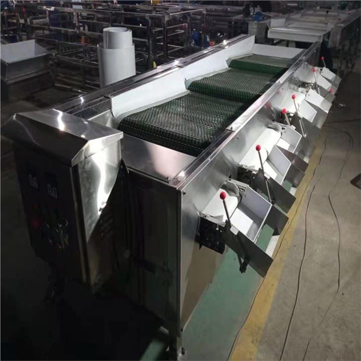 Automatic Blueberry Sorting Machine