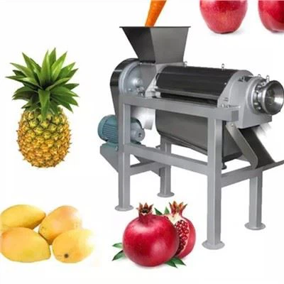 Profession Mango Juice Extractor