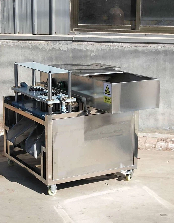 Olive Jujube Cherry Pitting Machine