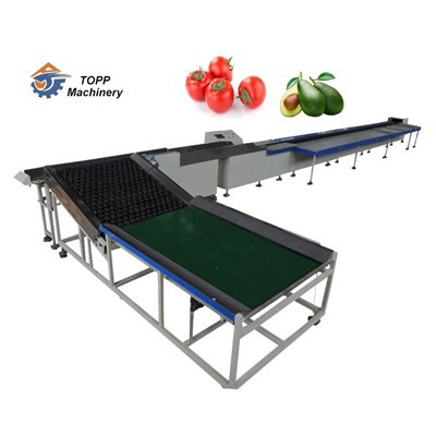 Elektronska mašina za sortiranje voća avokada