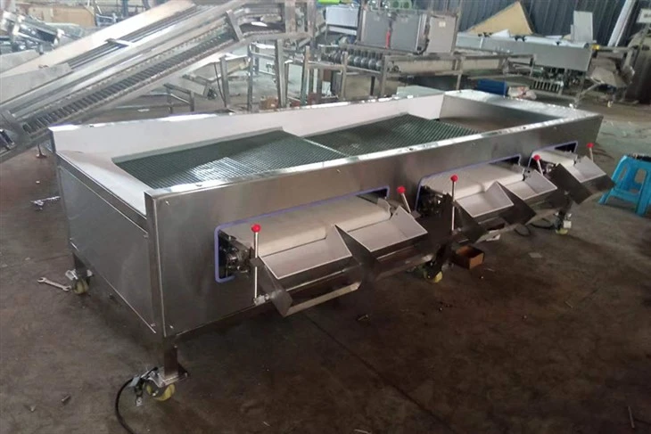 Blueberry Size Sorting Machine