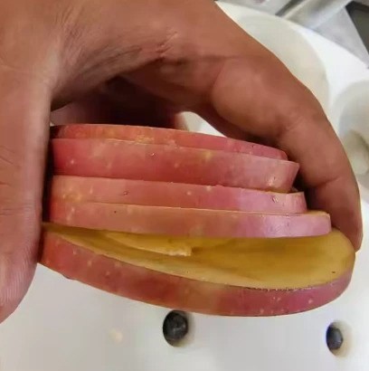 Apple Coring Slicing Machine