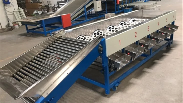 Automatic Tomato Sorting Machine