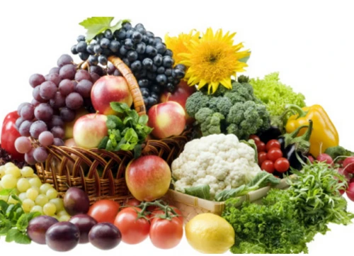 Belt Fruit Jucing Machine