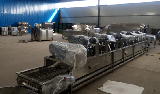 Lemon Fruit Air Drying Machine