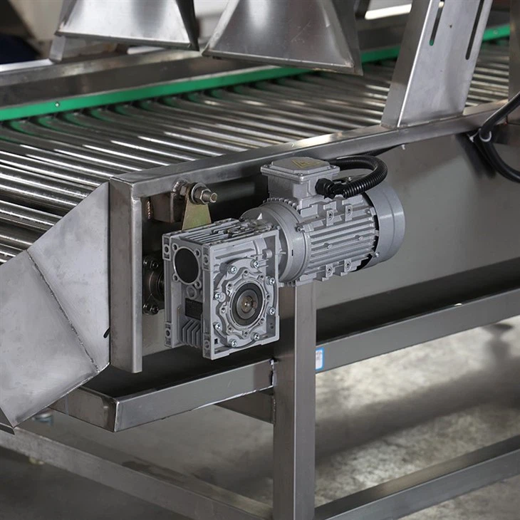 Potato Chips Production Line