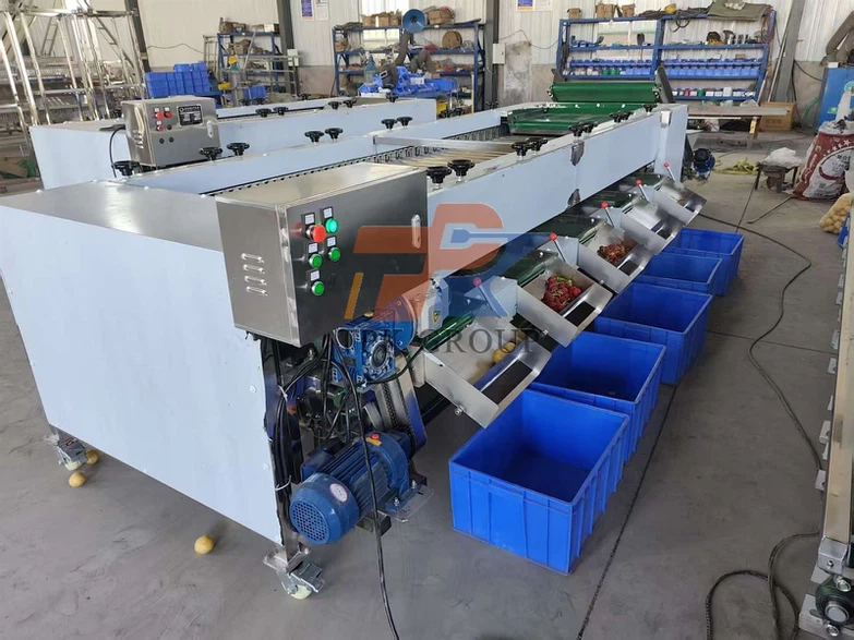 Carrot sorting machine 4 Carrot sorting machine 4
