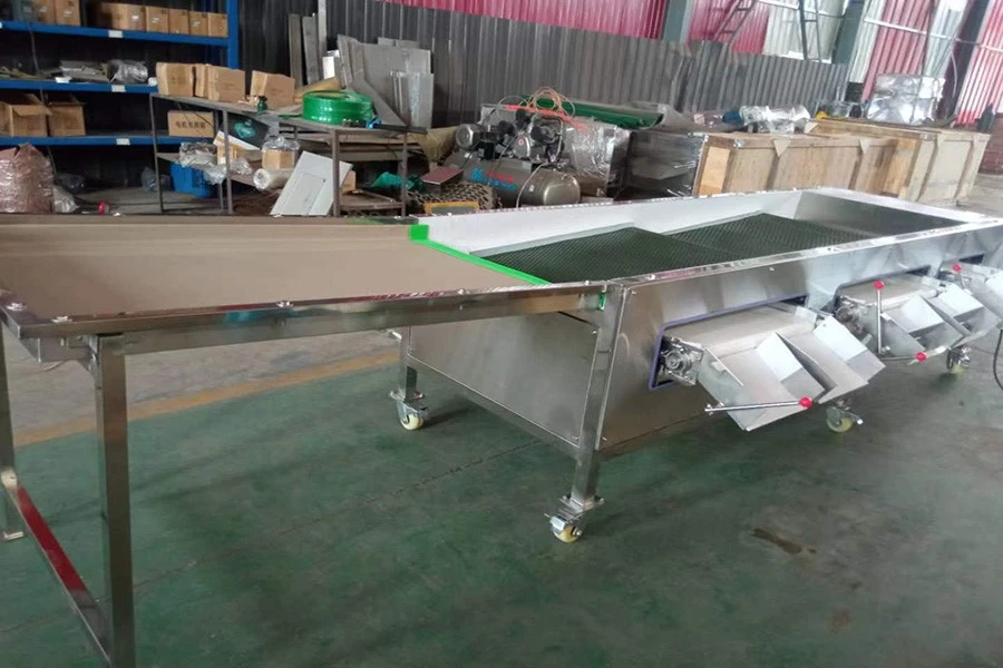 product-900-600