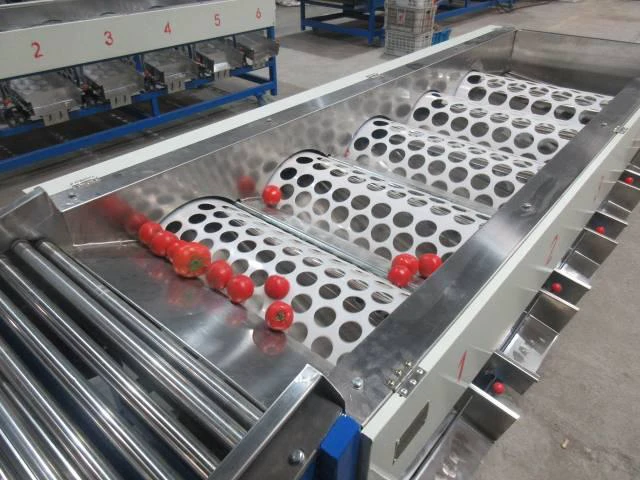 Automatic Tomato Sorting Machine Automatic Tomato Sorting Machine