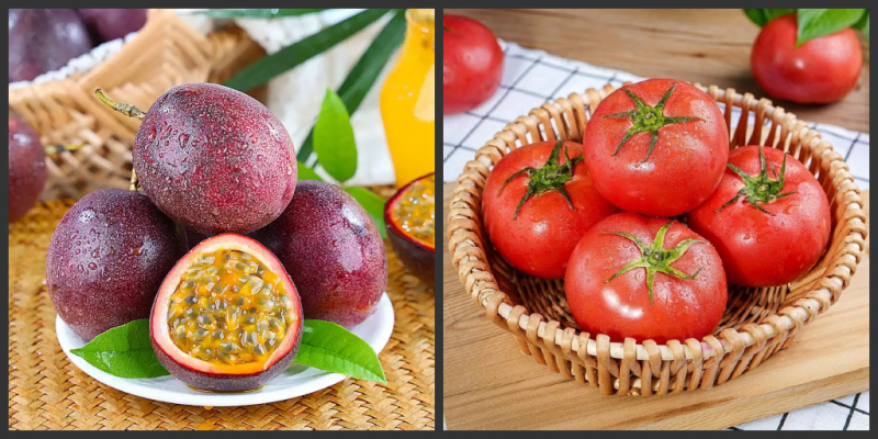 Passion Fruit Juice Seed Extractor Machineconew1 Passion Fruit Juice Seed Extractor Machineconew1