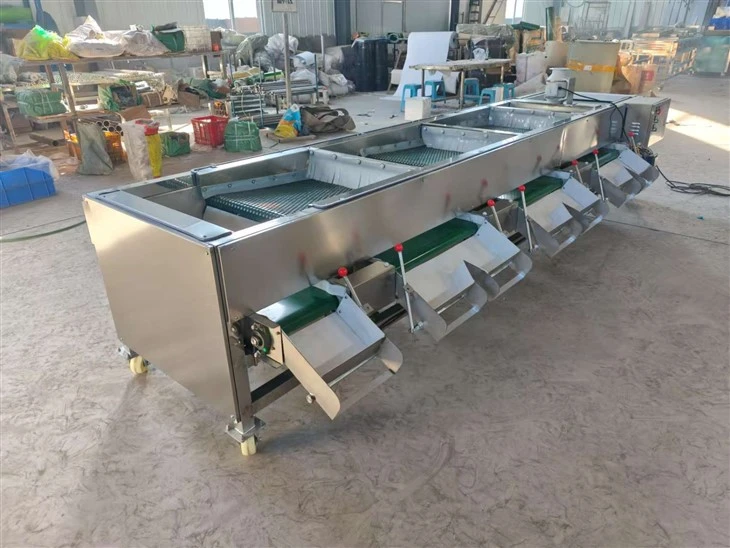 Wholesale Berry Grading Machine (2)